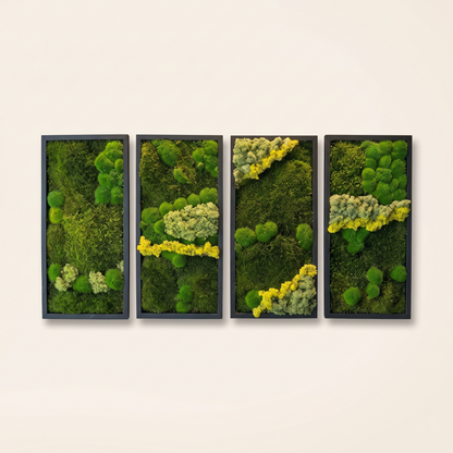 Preserved Moss Wall Art