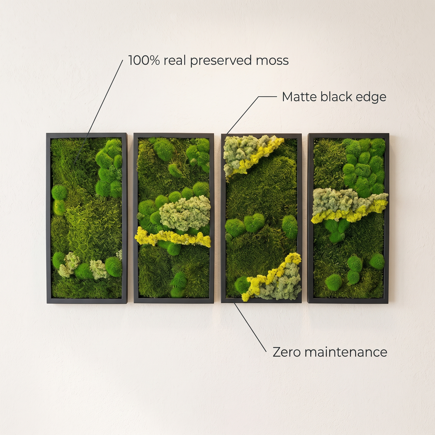 Preserved Moss Wall Art