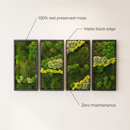 Preserved Moss Wall Art
