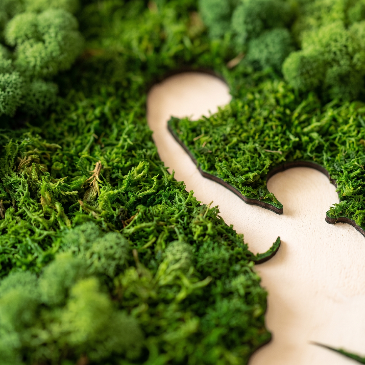 Basketball Moss Wall Art – Handmade Preserved Moss Panel, Dunk Silhouette
