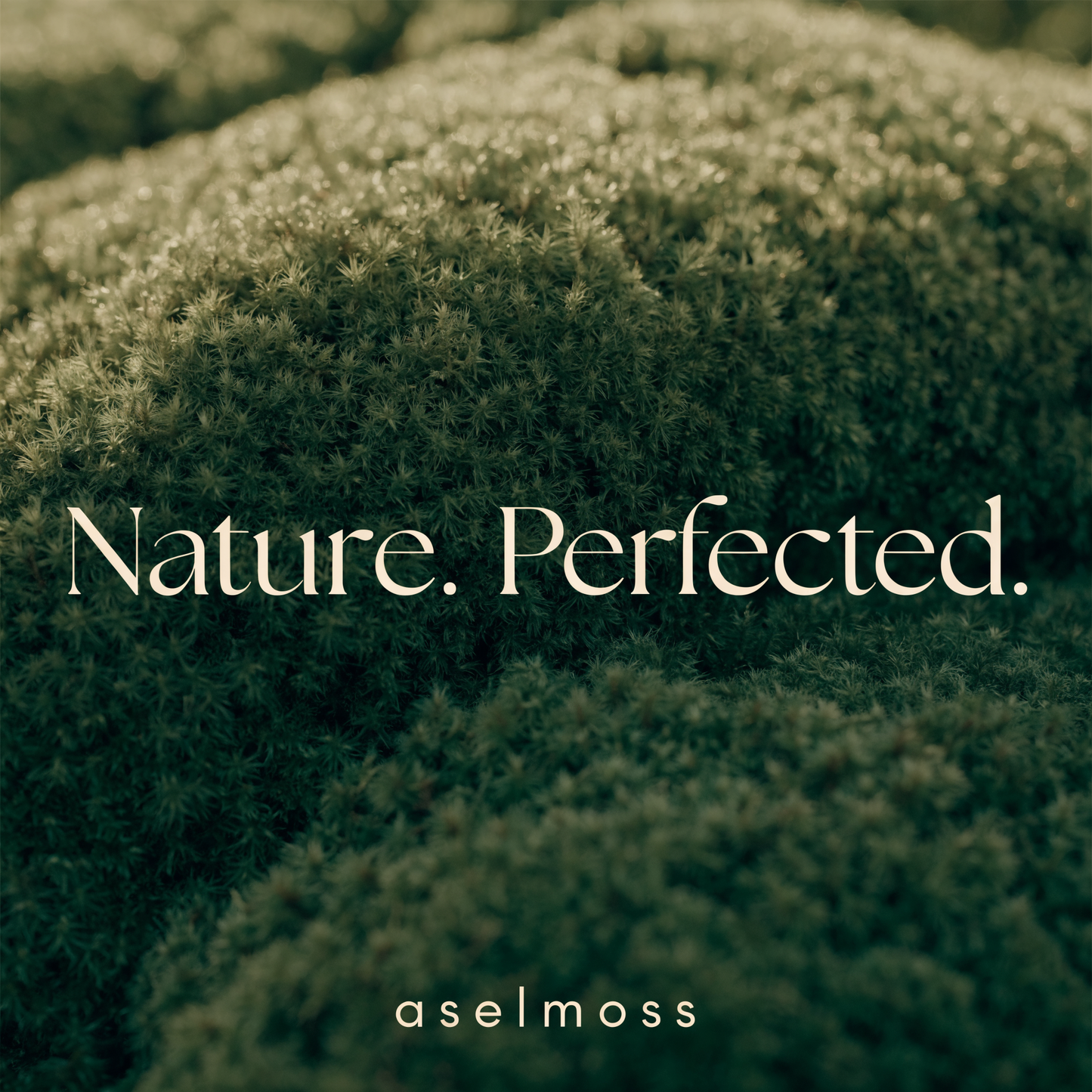 Round Preserved Moss Wall Art – Hand-Carved Walnut Frame, 60 cm