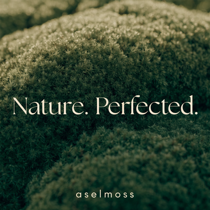 Hand-Carved Walnut Moss Bowl – Preserved Moss Centerpiece, Live Edge