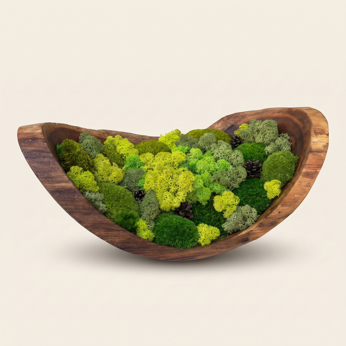 Hand-Carved Walnut Moss Bowl – Preserved Moss Centerpiece, Live Edge