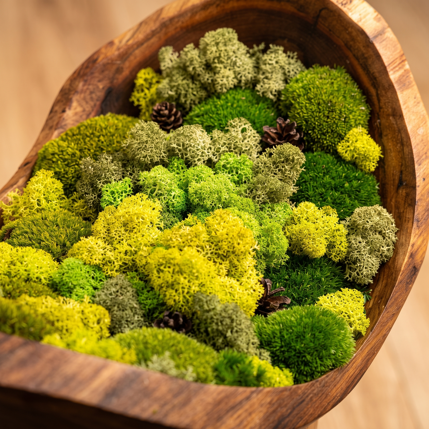 Hand-Carved Walnut Moss Bowl – Preserved Moss Centerpiece, Live Edge